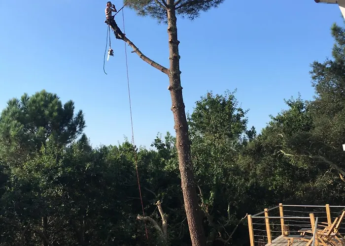 Golf By Carlon Luxury * Seignosse